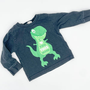 Dinosaur Long Sleeve - Rabbit Skins